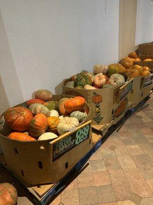 Pumpkin season all over the land