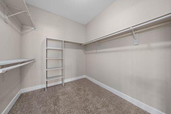 The Met large closet with shelves, ceiling lighting