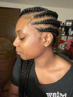 Braided Hair Style  (Lemonade Braids)