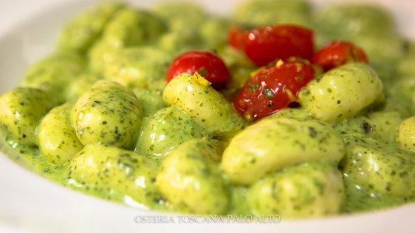 GNOCCHI al PESTO- House made potato dumplings, fresh basil pesto, and parmigiano reggiano.