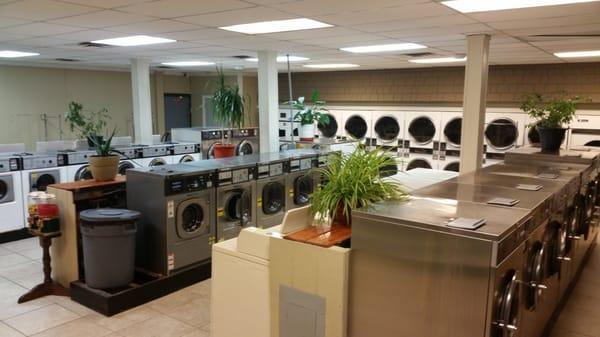 Bella's Laundry Room