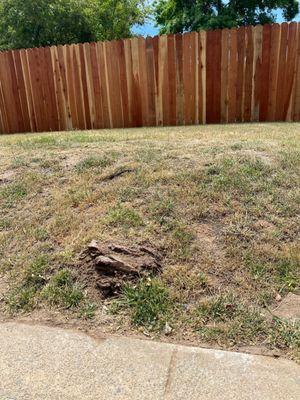 Side yard fence, now I just need to have someone respond to my request for yard leveling!