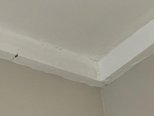 This is their finished "crown" molding. DO NOT HIRE THEM OR THIS COMPANY.