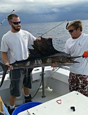 Sailfish on Sunday