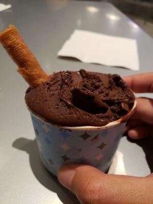 delicious dark chocolate ice cream