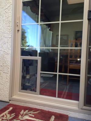 In glass dog door with custom made insulated unit with grids.