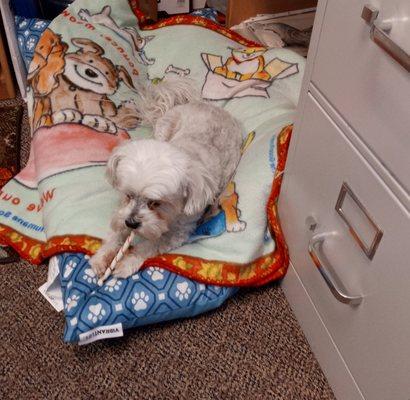 No, she's not snorting a line. She's guarding the filing cabinet!