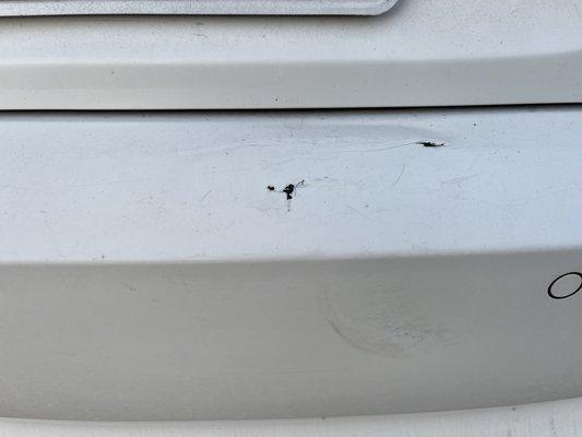 Could paint entire bumper OR  just the top surface