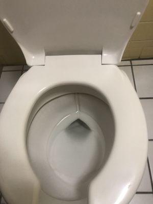 Dirty toilet!