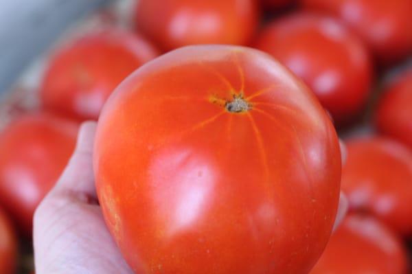 Beautiful vine ripened tomatoes.