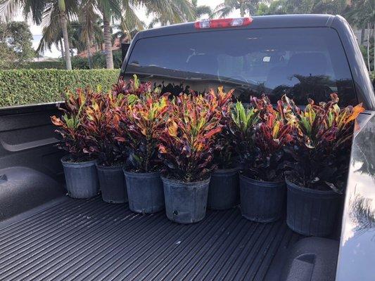 The friendly and knowledgeable staff helped us select our plants and then loaded them in the truck for us!