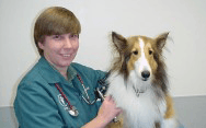 Farmington Animal Hospital