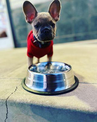 @Askarithefrenchie