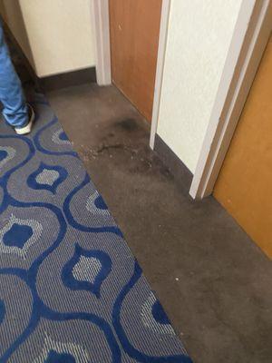 Nasty stain on carpet