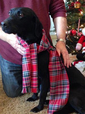 Family tartan for Christmas