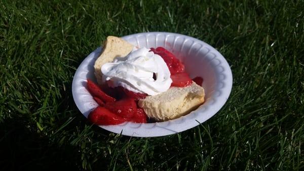 Strawberries in sauce on a biscuit.