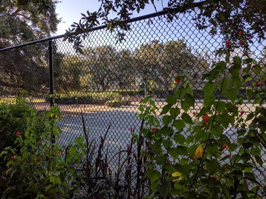 Hazel Parker Playground