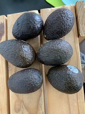 Bigger Hass Avocados are 0.69 cents each!