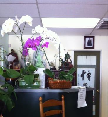 Harmony Acupuncture and Herbal Clinic