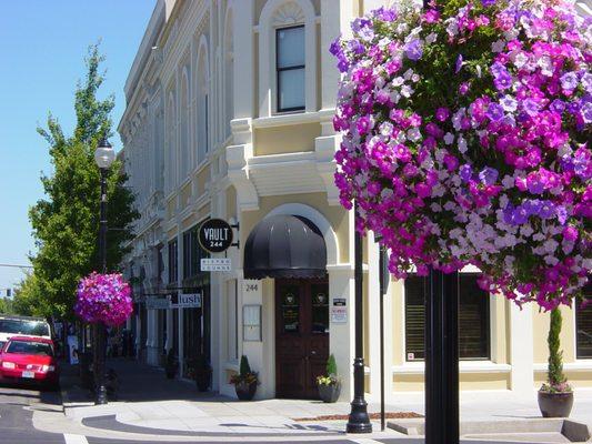 Beautiful flowerbaskets grace the Downtown streets throught the summer.