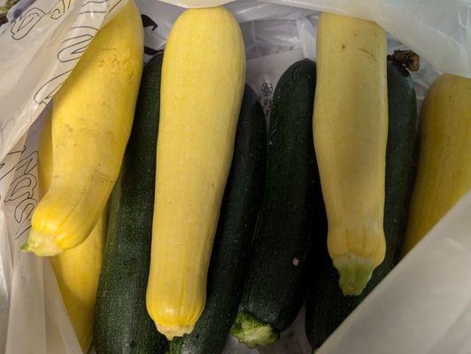 Zucchini and yellow squash! Yum!