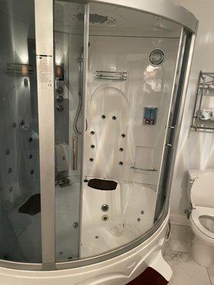 UPGRADED jacuzzi shower - yours for $195/night at THE CARRIAGE HOUSE INN in Aiken, SC!  Go to the Willcox - you'll be happier/safer!