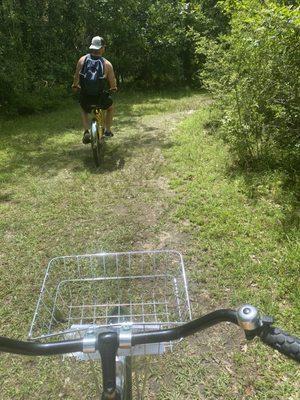 Fontainebleau State park trail