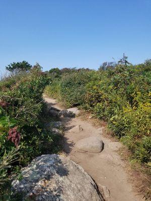 A section of the Moraine trail