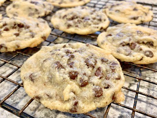 Chocolate Chip Cookies