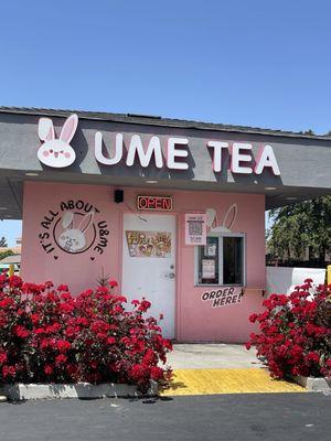 Trying Ume Tea! 5.23.24