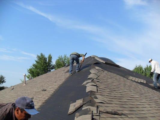 Our crew removing a shingle roof on a home in Trophy Club, Texas.