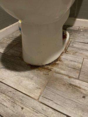 Sewage from toilet leaking onto the ground.