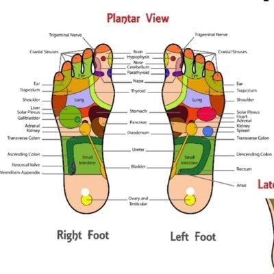 Foot Reflexology