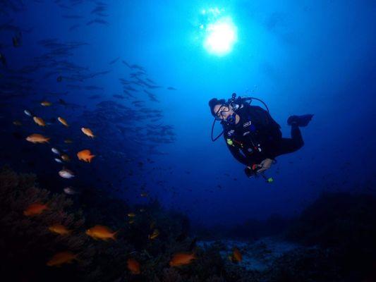 Hi. I'm Sona. When I'm not preparing taxes, you'll find me in the ocean admiring the beauty of our planet. Ocean conservation is my passion.