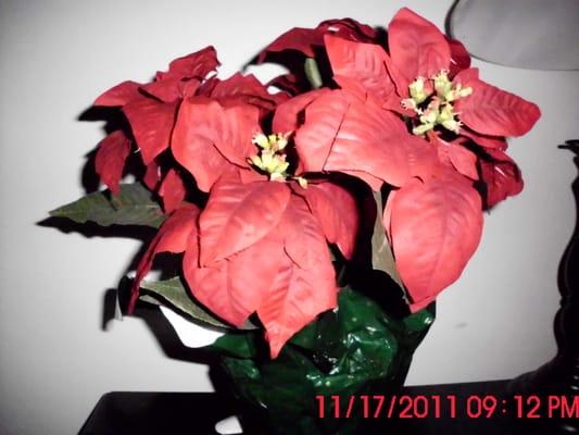 New large silk pointsettia in pot $5.99 at Goodwill