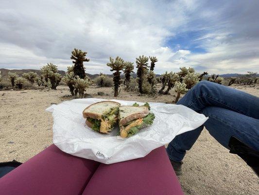 Hummus sandwich at the cholla cactus gardens.