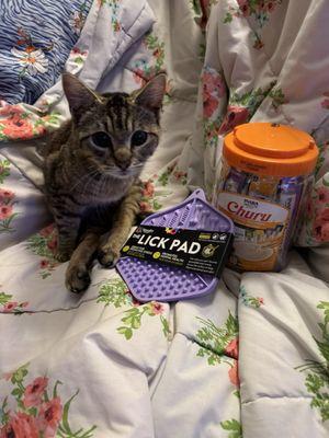 All better with her donated treats from Petscense!