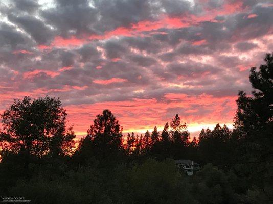 Nevada County Sunset in the Pines.