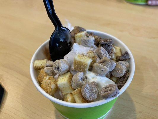 Tutti Frutti Frozen Yogurt