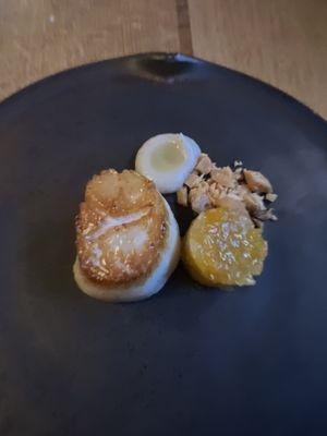 Sea Scallop