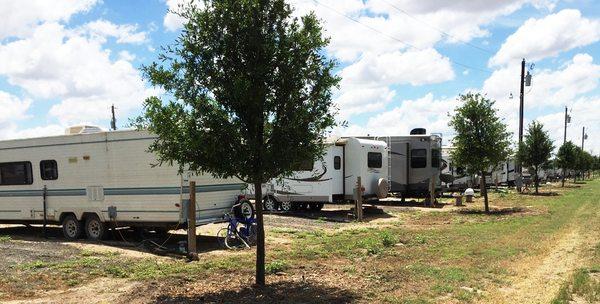 Trees and grass at Stanley RV Park