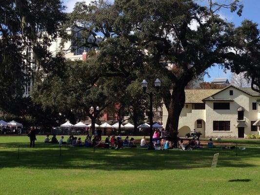 Under the big oak tree