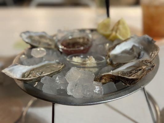 Chef's selection of Oysters