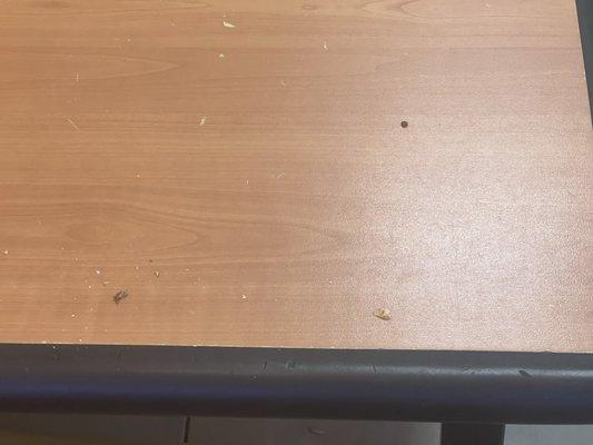 Dirty table with flies everywhere