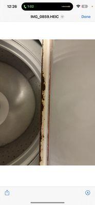 Rust/dirt debree all inside of washing machine lid