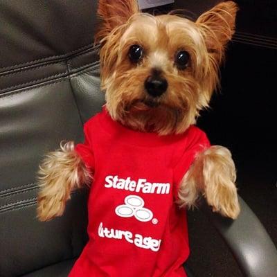 Mr. Winston
 Greeter/Life Insurance Specialist at Laura Lynn Riden State Farm Insurance Agency