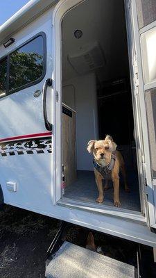 Baxter loves his camper