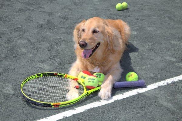 Get a special greeting from Hillary, our tennis ambassador.