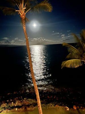 View of the moon from the lani of Kamaole Nalu 506