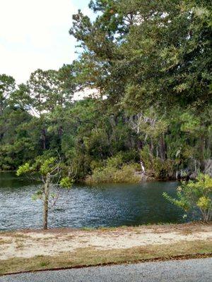 Pond on property